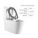 Унітаз підлоговий Qtap Freedom інклюзивний Rimless безобідковий з сидінням Soft-close WHITE QT22226098W