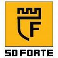 Логотип SD Forte, интернет магазин PSK