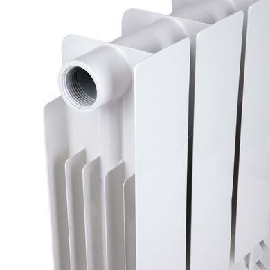 фотографія Радіатор біметалічний Thermo Alliance Bi-Ferrum 300/100 1,15 кг