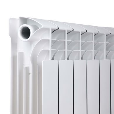 фотографія Радіатор біметалічний Thermo Alliance Bi-Ferrum 300/100 1,15 кг