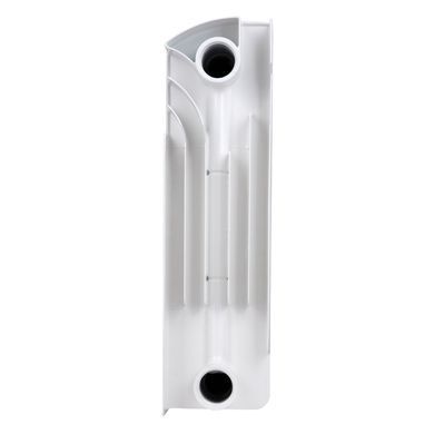 фотографія Радіатор біметалічний Thermo Alliance Bi-Ferrum 300/100 1,15 кг