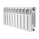 фотографія Радіатор біметалічний Thermo Alliance Bi-Ferrum 300/100 1,15 кг