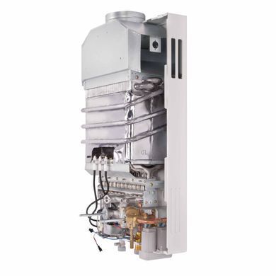 фотографія Колонка газова димохідна Thermo Alliance JSD20-10CR 10 л White