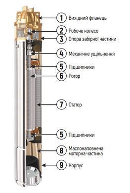 фотографія